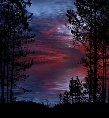 susan-lu4esm-nature-4567502_1280